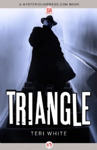Triangle by Teri White Triangle by Teri White