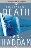 Fountain of Death by Jane Haddam
